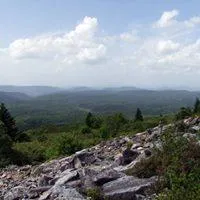 Elkins-Otter Lizard Map, West Virginia