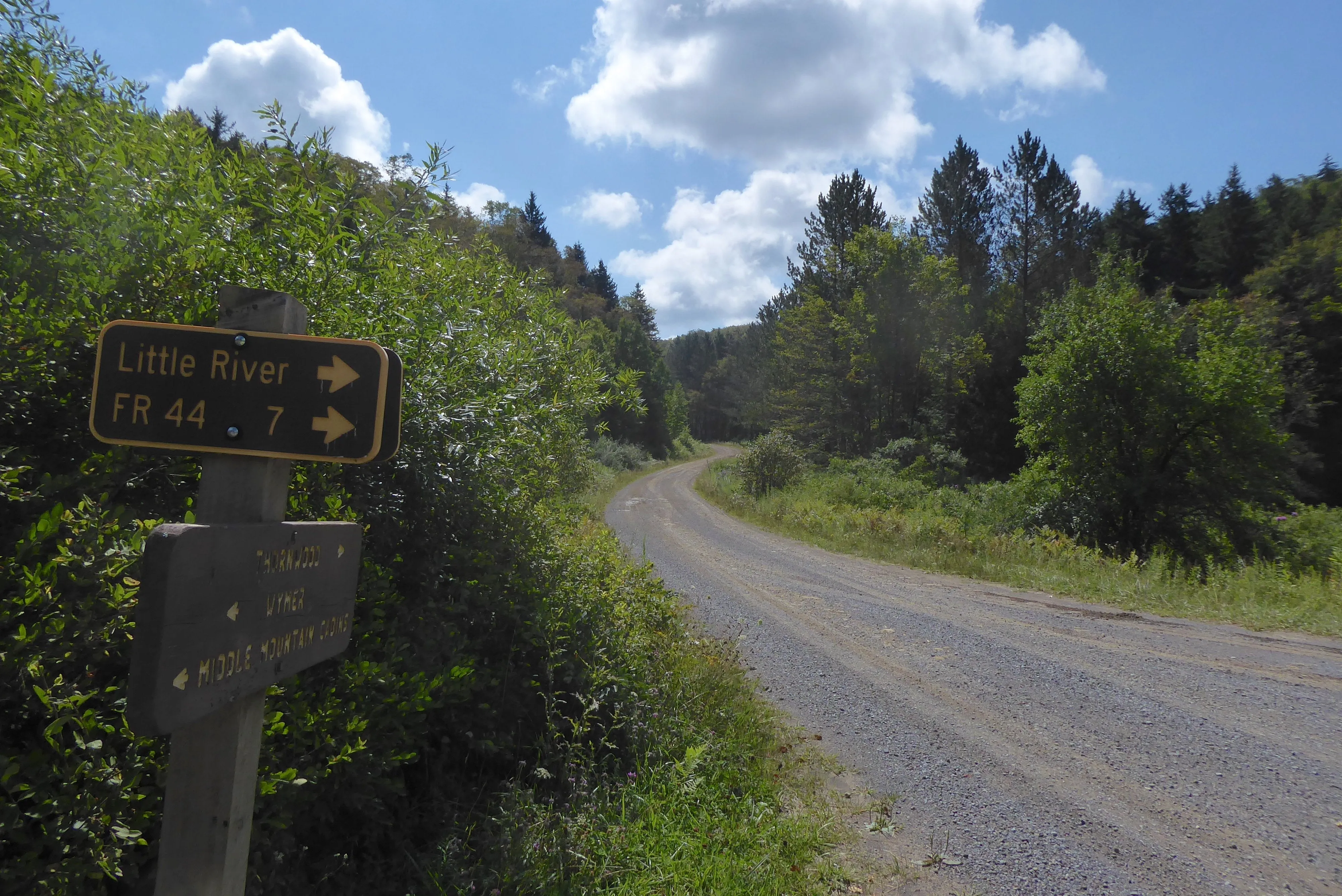 Elkins-Otter Lizard Map, West Virginia