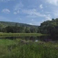 Elkins-Otter Lizard Map, West Virginia