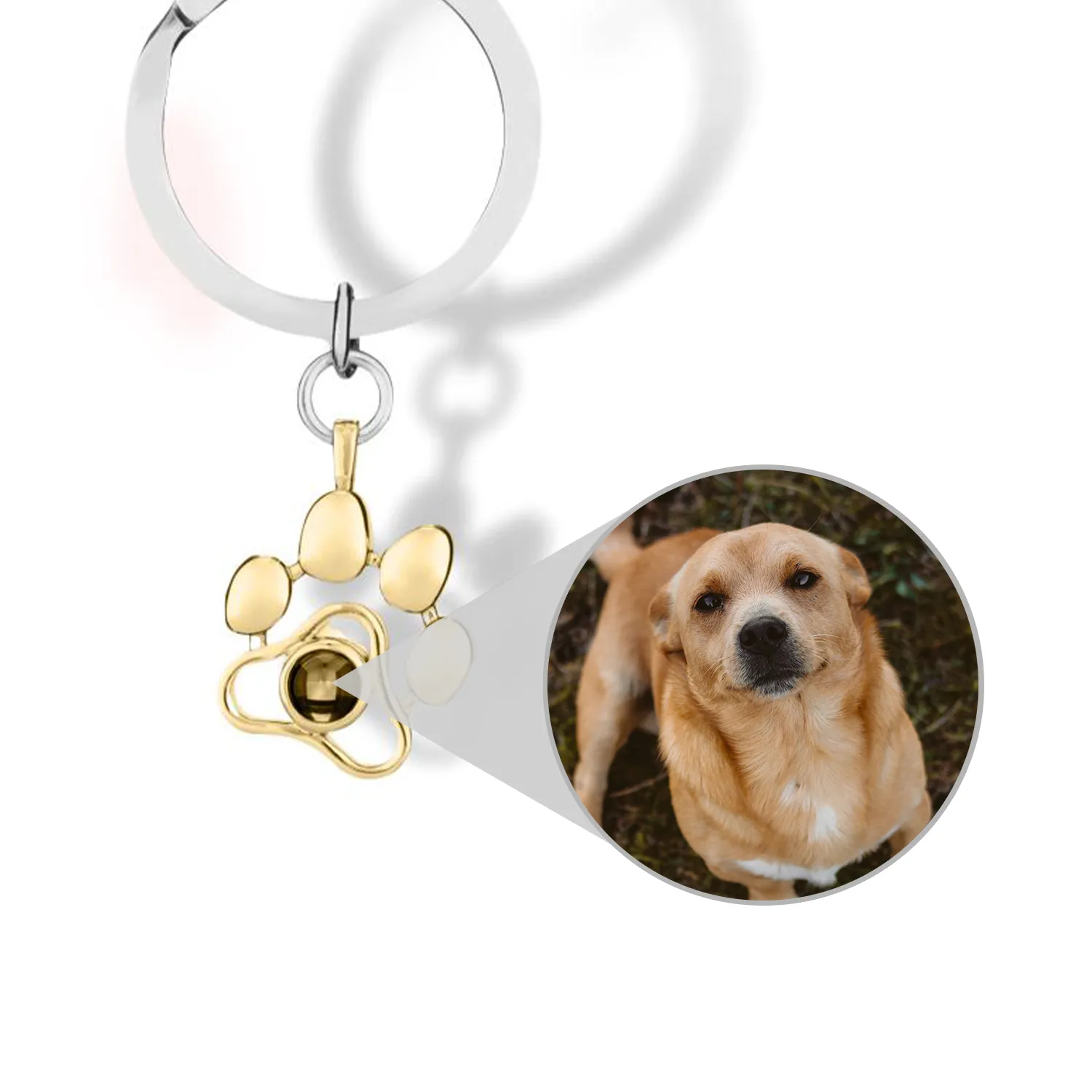 Pet Paw Photo Keychain